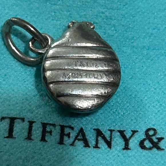 Authentic Tiffany & Co Signature Tiffany Blue Lady Bug Charm 925 - Picture 3 of 5